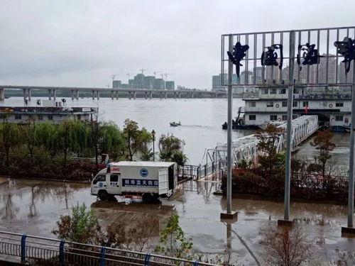 安徽蚌埠爆料新闻最新情况,突发事件引发社会关注